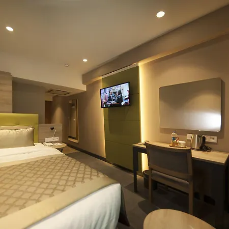 酒店 新春天酒店 安卡拉